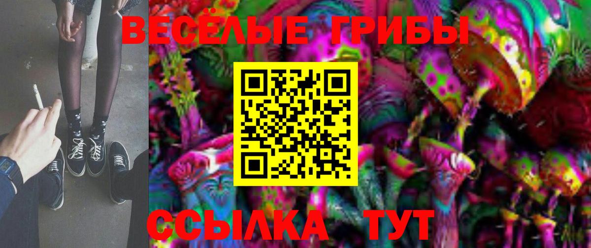 даркнет сайт  Галлюциногенные грибы MAGIC MUSHROOMS  Вход с VPN  Киселёвск 